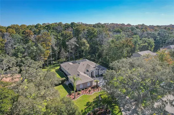 12054 QUAIL RIDGE DR, Spring Hill, FL 34610