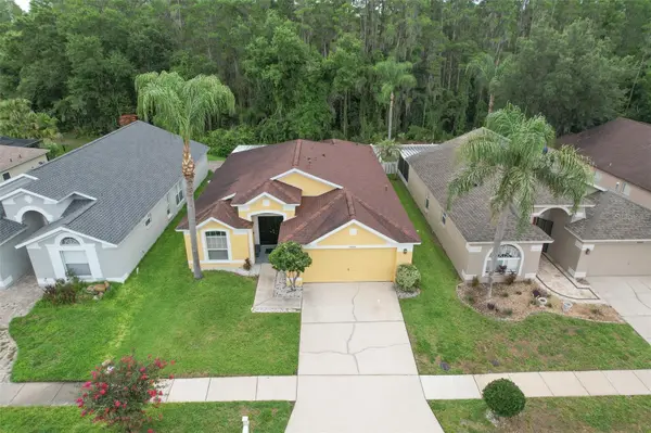 30914 BURLEIGH DR, Wesley Chapel, FL 33543