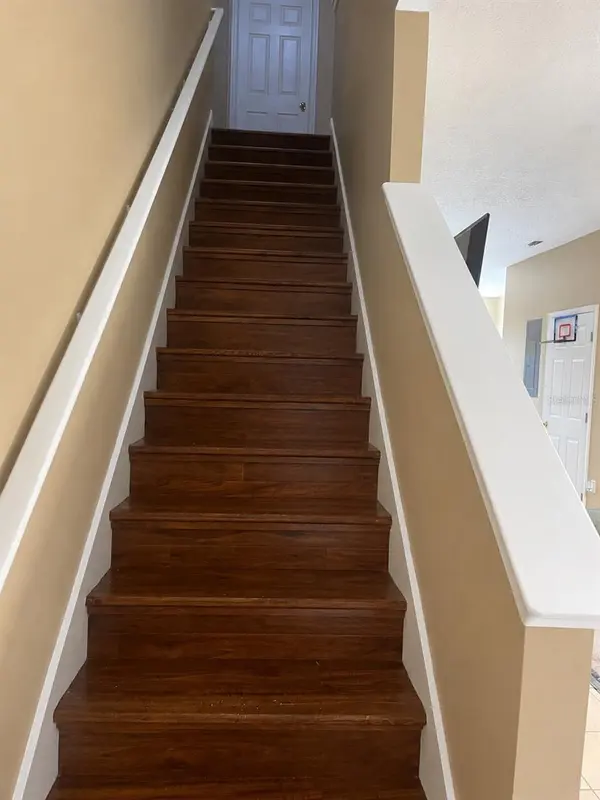 11517 DECLARATION DR, Tampa, FL 33635