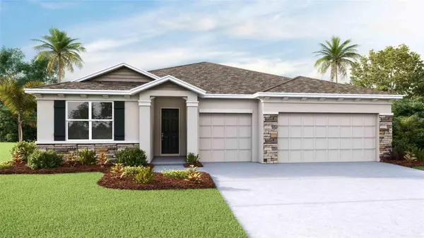 32680 DULUTH DR, Wesley Chapel, FL 33543