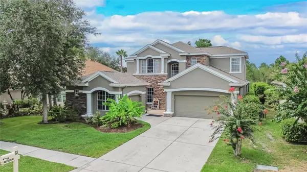 10103 DEERCLIFF DR, Tampa, FL 33647