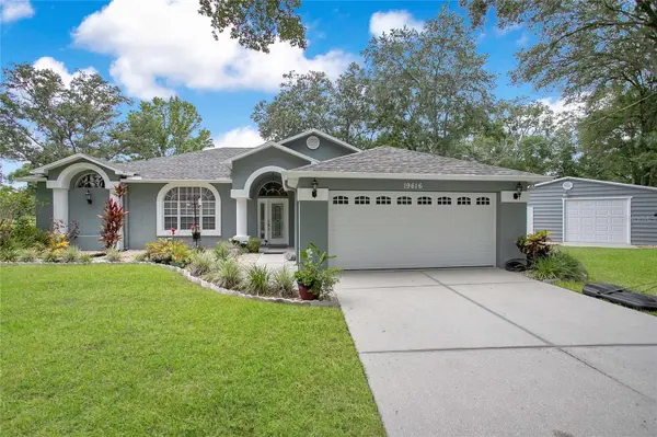 19616 LIVINGSTON AVE, Lutz, FL 33559