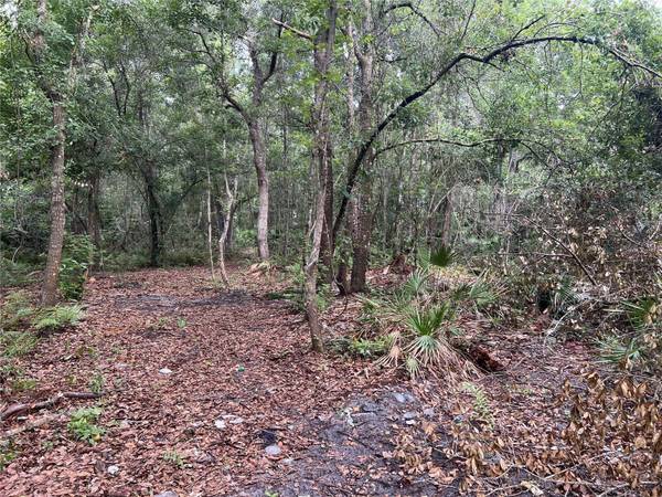 2322-2328 ROUSE RD, Orlando, FL 32817