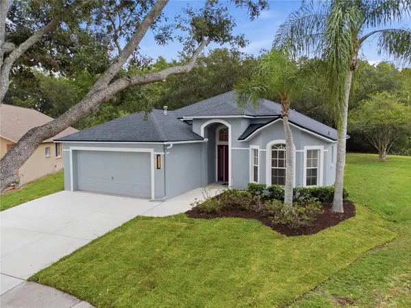 6003 CHELLAS CT, Lutz, FL 33558