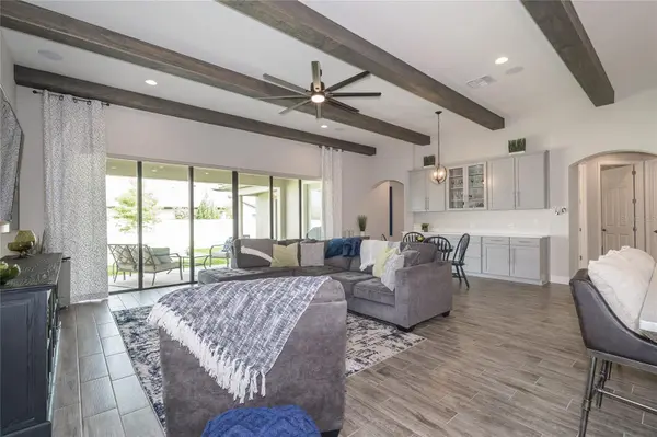 8687 BIRCHLEAF COURT, Land O Lakes, FL 34637