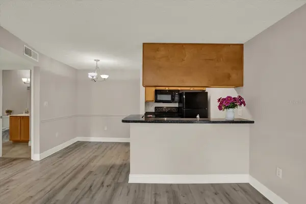 308 LAKE PARSONS GN #203, Brandon, FL 33511