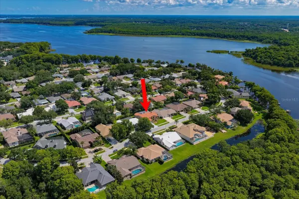 3909 TARIAN CT, Palm Harbor, FL 34684