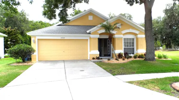 30709 LANESBOROUGH CIR, Wesley Chapel, FL 33543