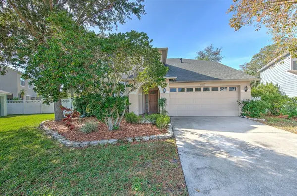 9205 CELEBRATION CT, Tampa, FL 33647
