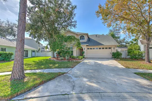 9205 CELEBRATION CT, Tampa, FL 33647