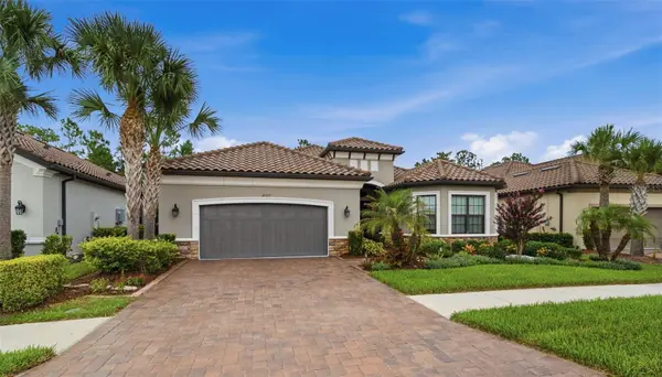 20117 UMBRIA HILL DR, Tampa, FL 33647
