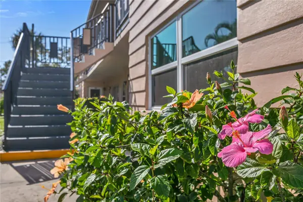 216 36TH AVE N #202B, St Petersburg, FL 33704