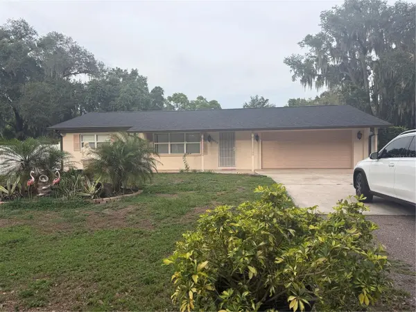 8009 PAULSON LN, Tampa, FL 33617