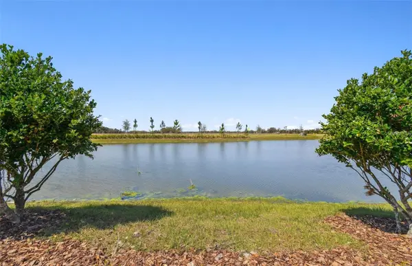 6741 MICHAEL FAVOR WAY, Wesley Chapel, FL 33545