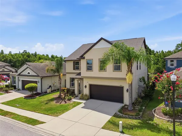 30643 WALKER CUP PL, Wesley Chapel, FL 33543