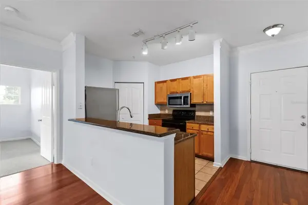 4207 S DALE MABRY HWY #5310, Tampa, FL 33611