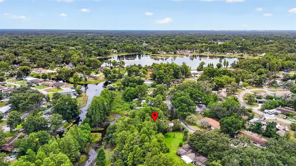 910 HILLSIDE DR, Lutz, FL 33549