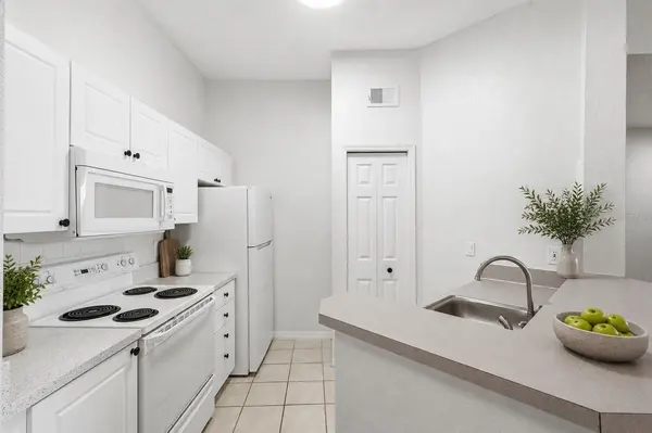 18106 PEREGRINES PERCH PL #5302, Lutz, FL 33558