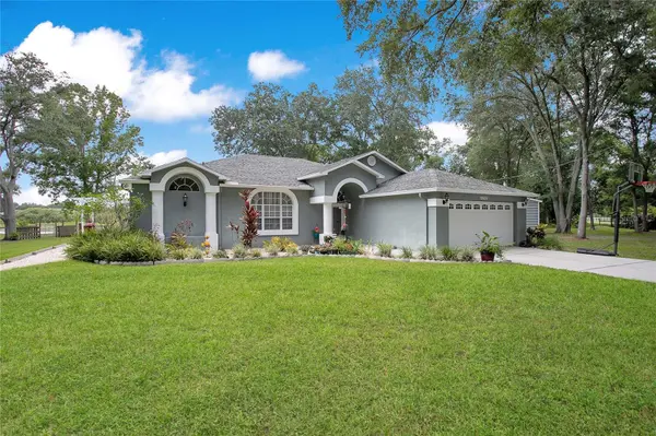 19616 LIVINGSTON AVE, Lutz, FL 33559