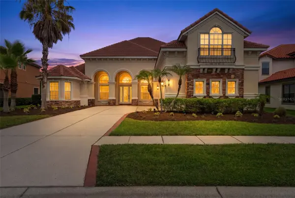 8412 DUNHAM STATION DR, Tampa, FL 33647