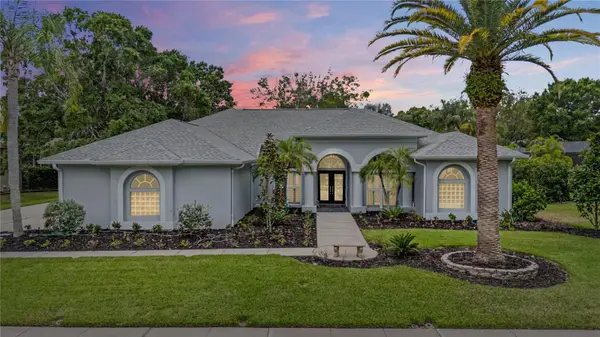3692 JOHNATHON AVE, Palm Harbor, FL 34685