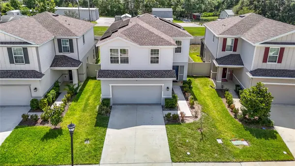 10699 OLD SYCAMORE LOOP, Land O Lakes, FL 34638