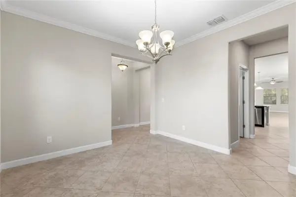 3147 CALVANO DR, Land O Lakes, FL 34639