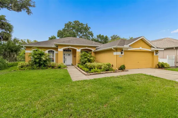 10035 REMINGTON DR, Riverview, FL 33578