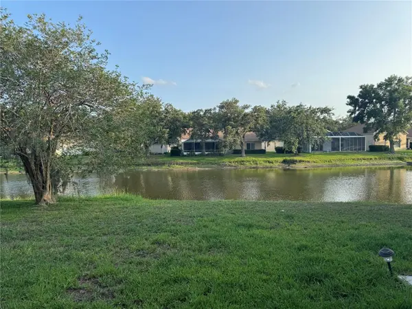 10207 QUAILS LANDING AVE, Tampa, FL 33647