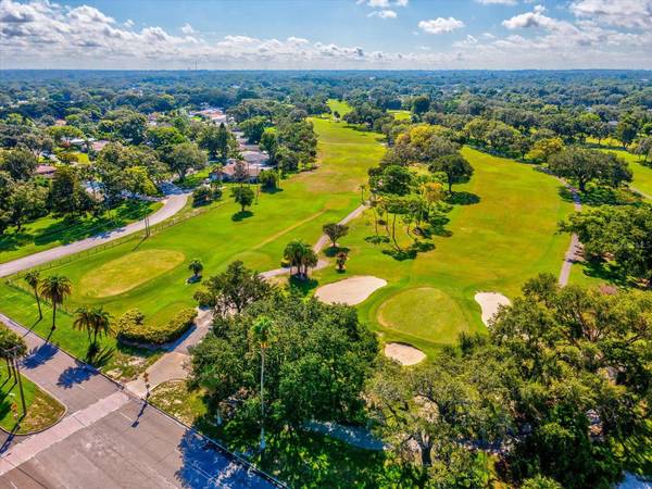 2285 WATROUS DR, Dunedin, FL, 34698 photo 61