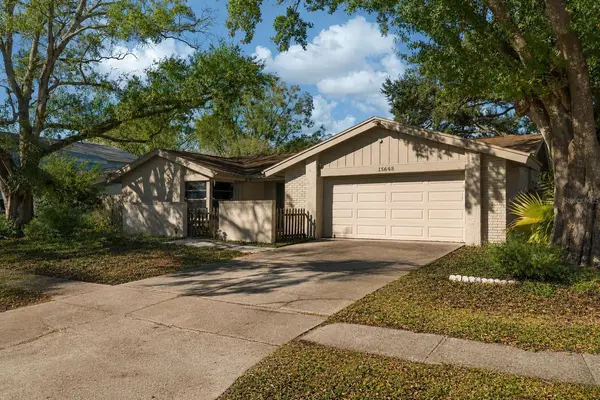 15648 BEAR CREEK DR, Tampa, FL 33624