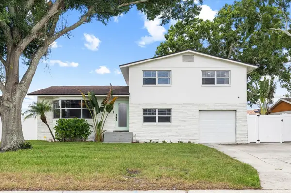 10716 DONBRESE AVE, Tampa, FL 33615