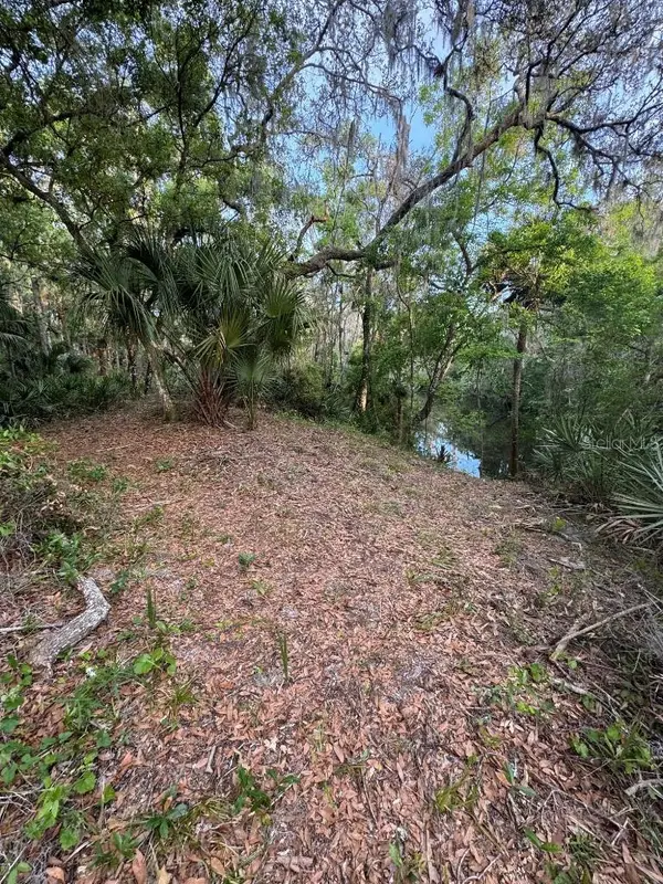 901 SHOALS LANDING DR, Brandon, FL 33511