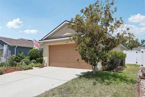11339 PALM ISLAND AVE, Riverview, FL 33569