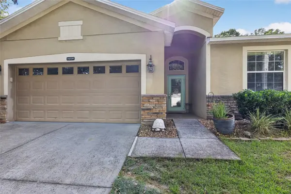 34339 ALAMEDA DR, Sorrento, FL 32776