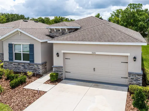 31420 TANSY BND, Wesley Chapel, FL 33545