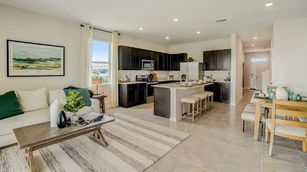 31243 PAPER BIRCH ST, Wesley Chapel, FL 33545