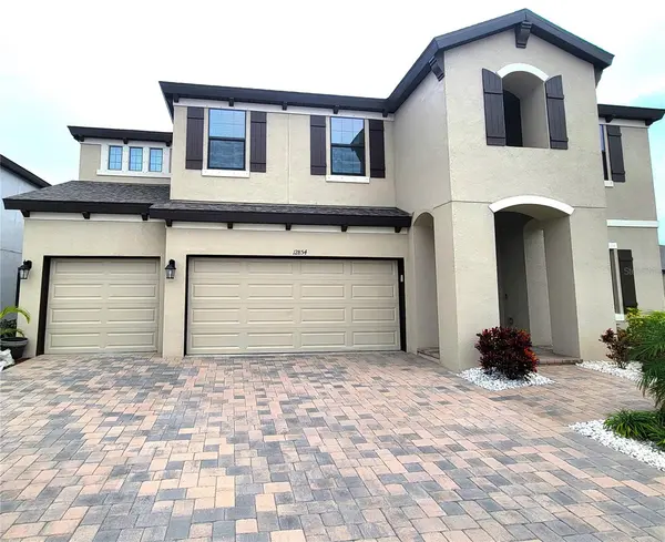 12854 BOGGY CREEK DR, Riverview, FL 33579
