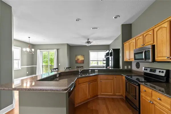 11504 BELLAMAR ST, Tampa, FL 33637