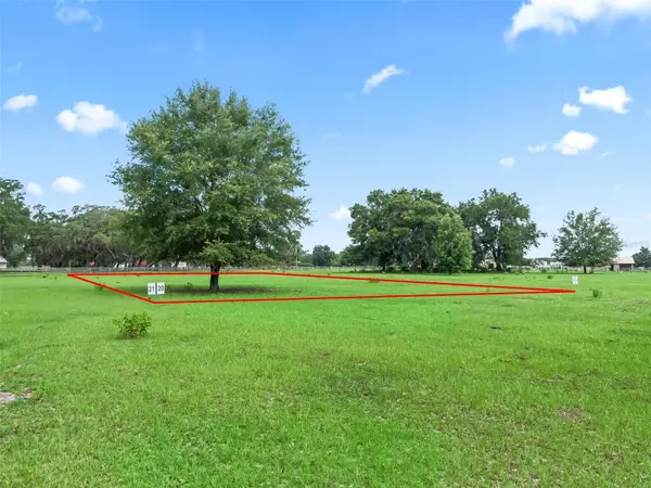 Lot 20 CR 543, Bushnell, FL 33513