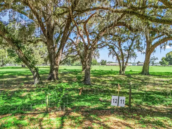 Lot 12 CR 543, Bushnell, FL 33513