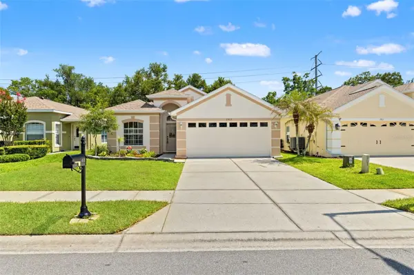 2913 BANYAN HILL LN, Land O Lakes, FL 34639