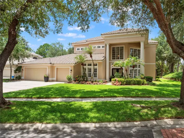 17422 HEATHER OAKS PL, Tampa, FL 33647
