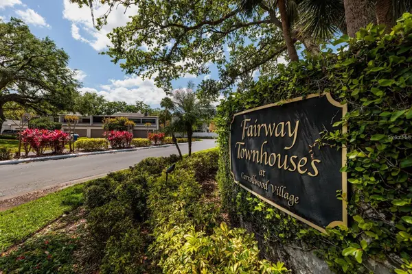 4207 FAIRWAY RUN, Tampa, FL 33618