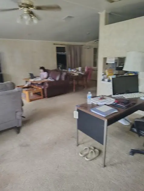 38553 ALSTON AVE, Zephyrhills, FL 33542