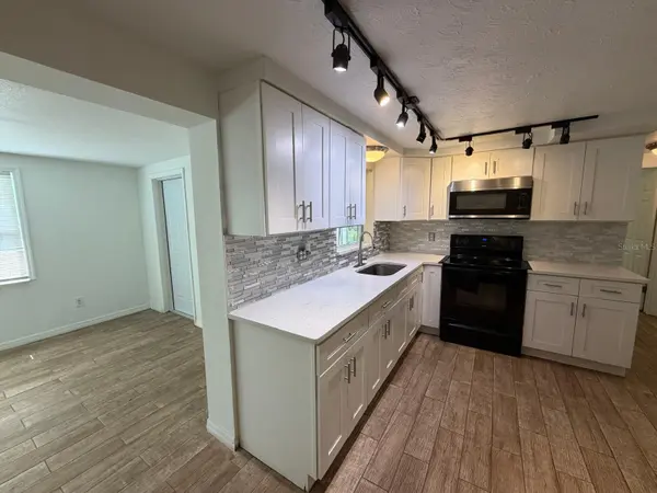 1650 BOLD LN, Holiday, FL 34691