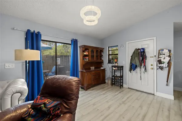 1335 15TH ST, Palm Harbor, FL 34683