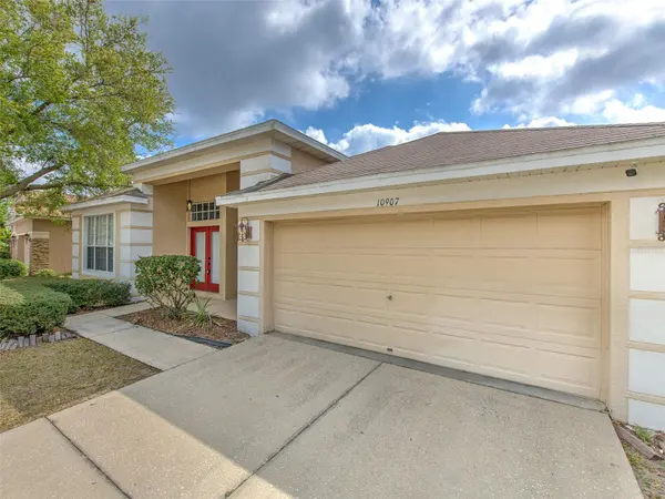 10907 AUSTRALIAN PINE DR, Riverview, FL 33579
