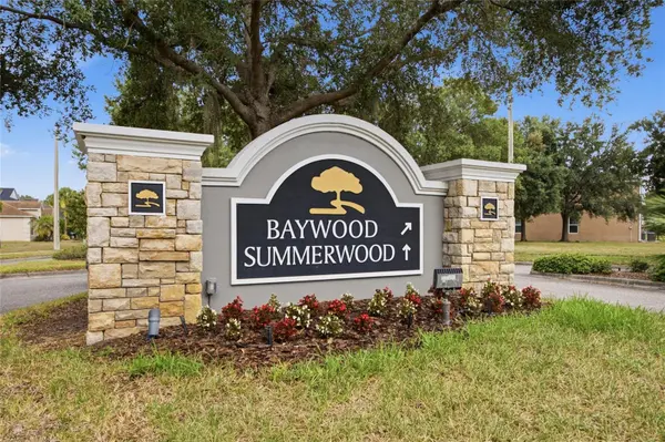 6924 TOWERING SPRUCE DR, Riverview, FL 33578