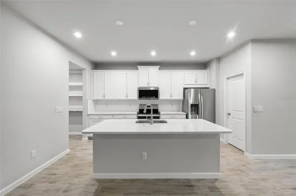 4366 CLOUD HOPPER WAY, Lutz, FL 33559